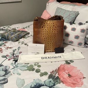 Brahmin for sale